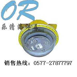 海洋王 BFC8183固态免维护防爆灯